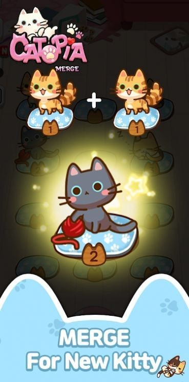 萌猫大本营1