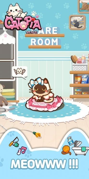 萌猫大本营0