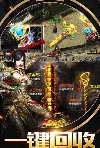 天羽金币传奇截图2