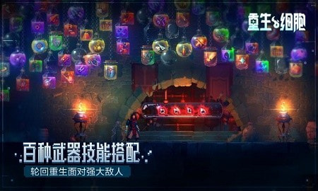 deadcells完整版截图3