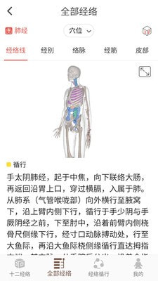 经络穴位3D截图3