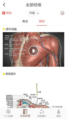 经络穴位3D截图2