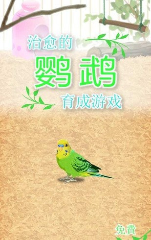 治愈的鹦鹉育成parakeet1