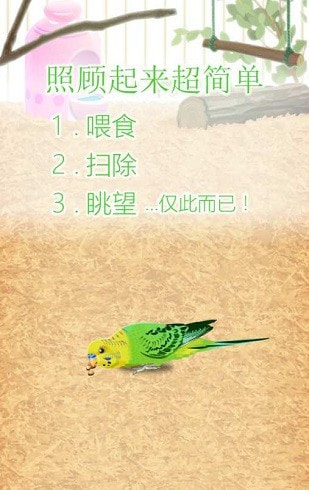 治愈的鹦鹉育成parakeet0