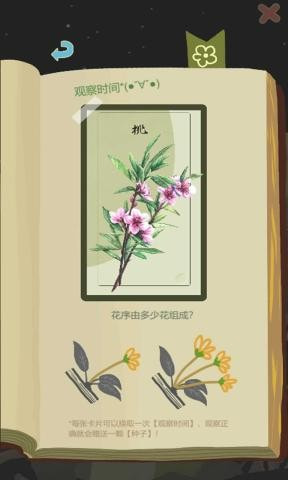 老农种树3