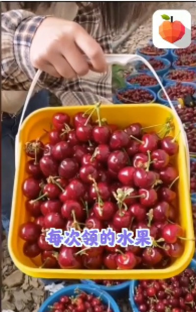 呱呱水果园截图2