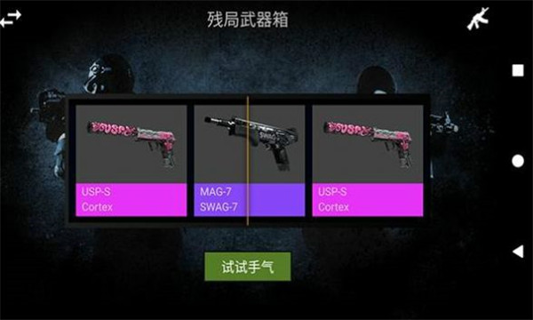 csgo真实开箱模拟器2021截图2