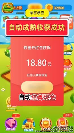 幸福菜园赚钱种菜截图2