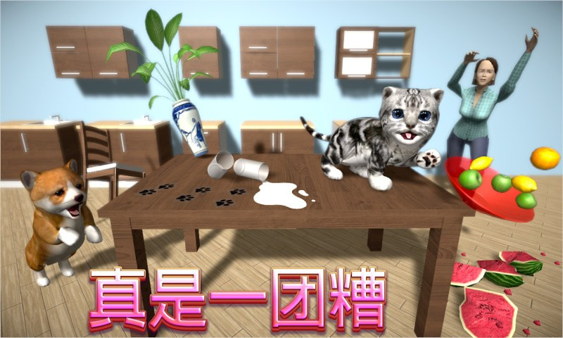 猫咪模拟器2