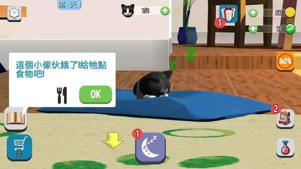 我的收养猫咪5