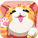 猫猫咖啡屋怎么喂猫粮