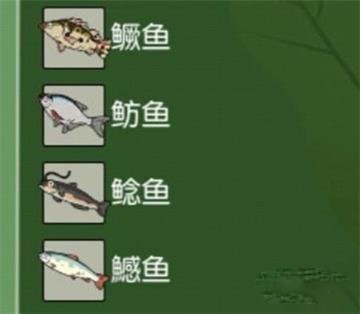 《小森生活》鱼类分布在哪