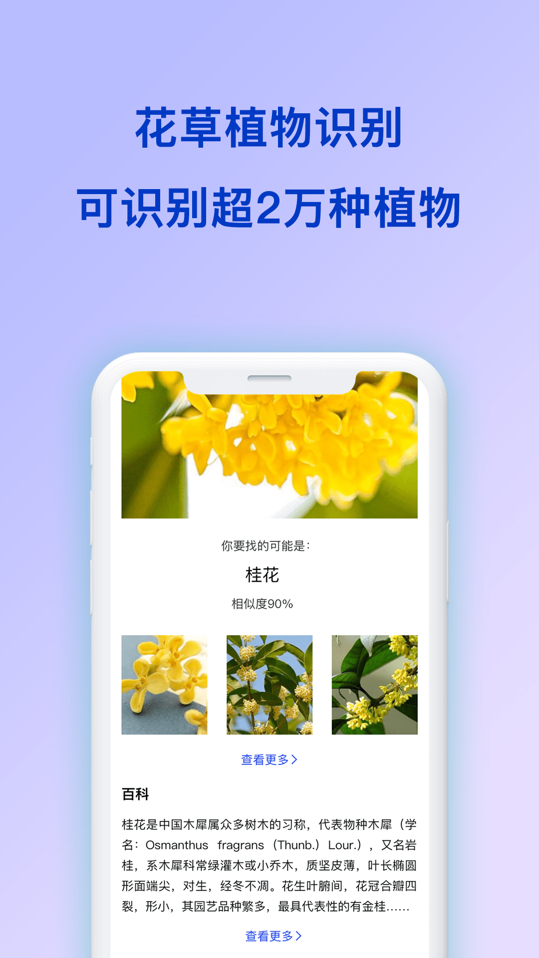 扫描全能王识图3