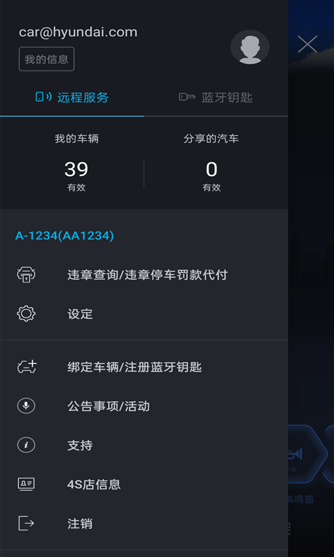 Bluelink截图2