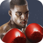 Punch Boxing 3D