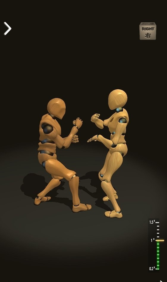 人偶咏春师傅截图2