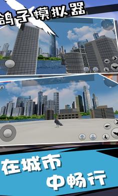 鸽子模拟器手机版3