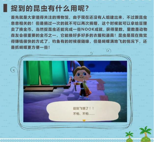 动森7月昆虫价格图鉴大全