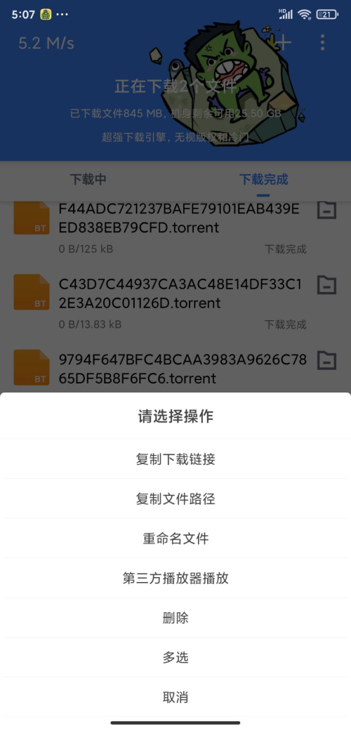 浩克下载器手机版截图1
