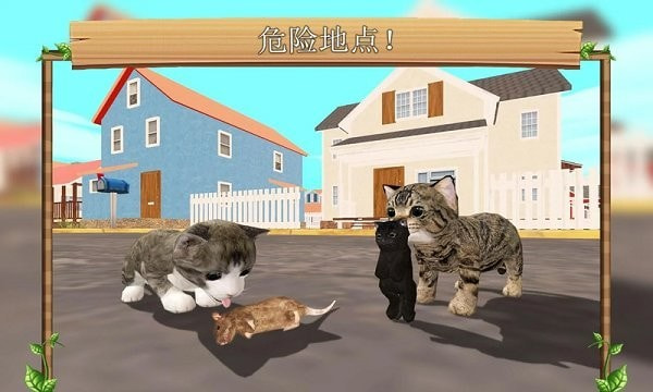 猫生活模拟器最新版3