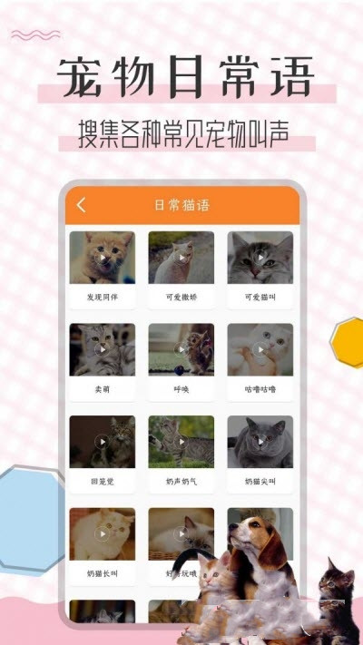 猫语翻译宝最新版1