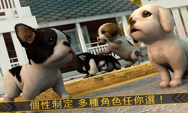 超级小汪大闯关截图3