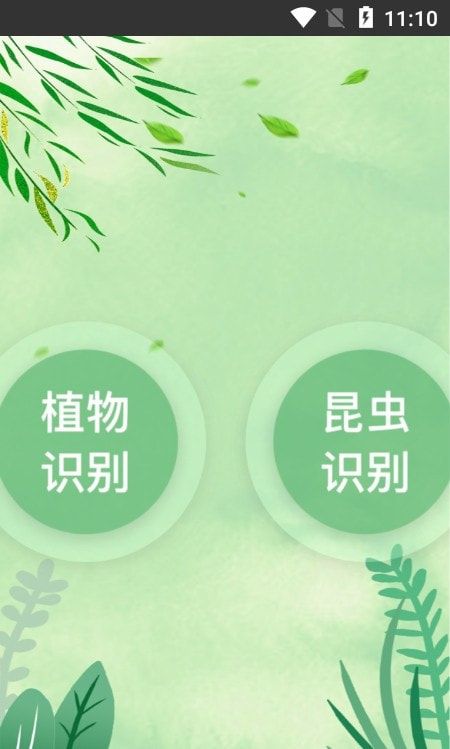 一叶识木(植物昆虫识别)截图2