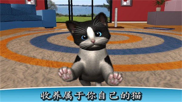 我的猫咪截图1