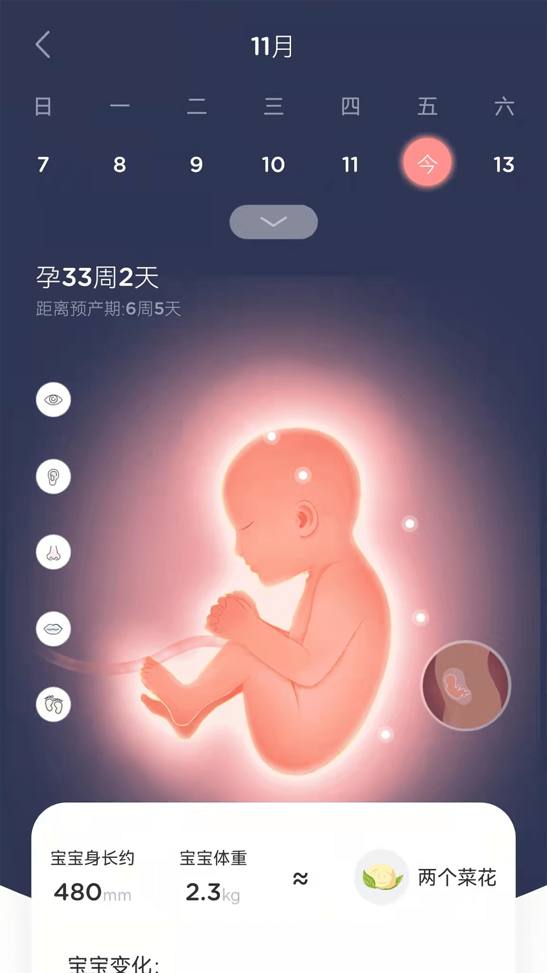 Life Ofmom截图4