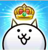 猫咪大寻宝