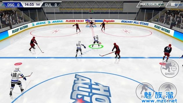 Hockey All Stars1