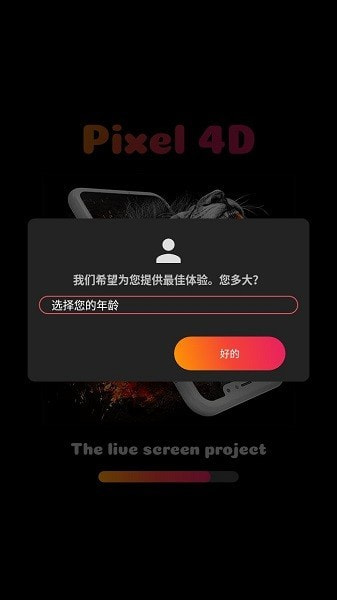 Pixel 4D截图4