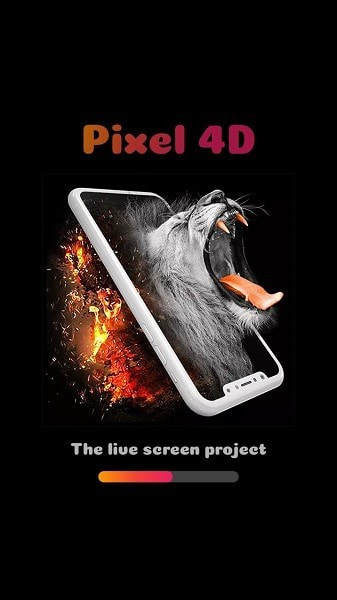 Pixel 4D2