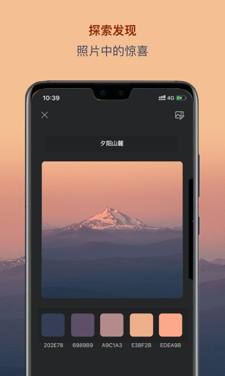 图片色彩识别(色采app)截图4
