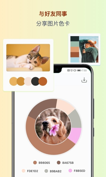 图片色彩识别(色采app)截图1