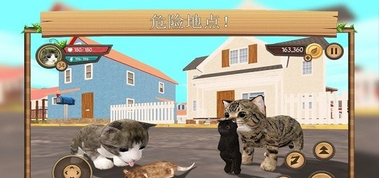 CatSim安卓版3