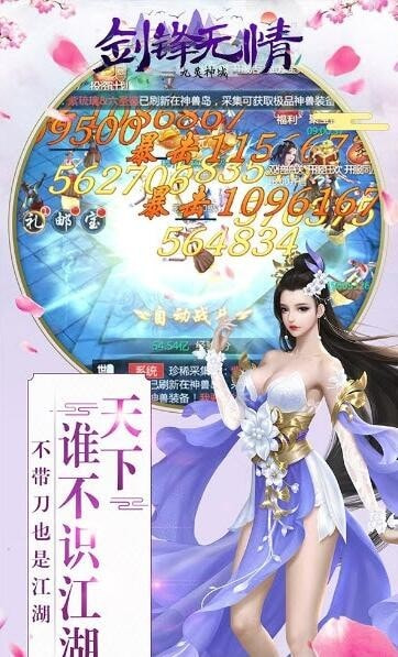 九灵神域剑锋无情截图2