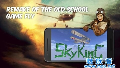 SkyKing截图2