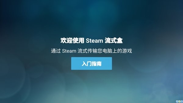 steamlink截图1