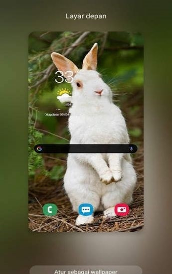 New Rabbit wallpaper(新兔子壁纸)3