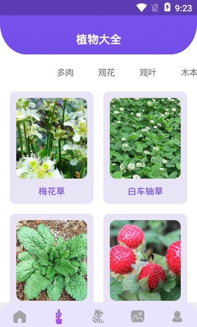 花朵识别截图3