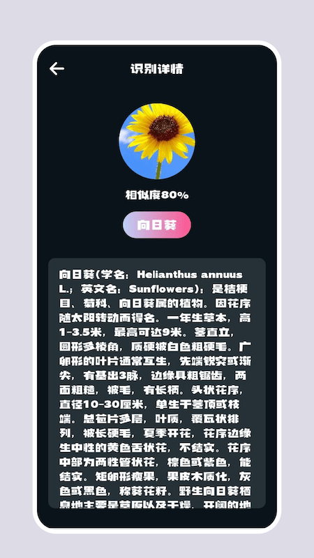 识别花截图3