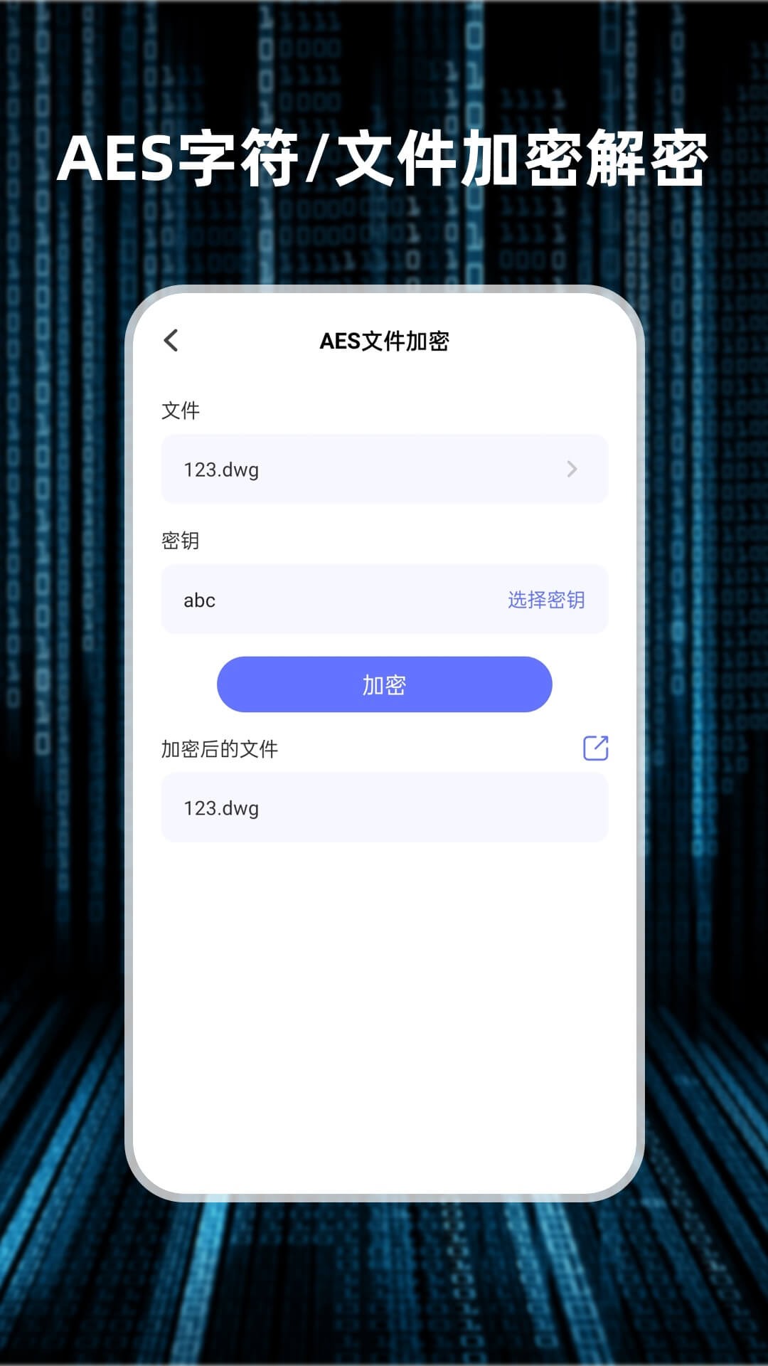 轻随机编码截图3