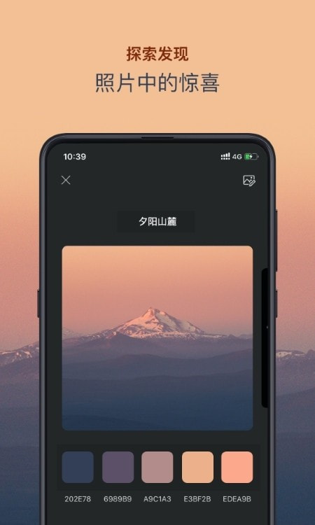 色采(色彩app配色软件)截图4