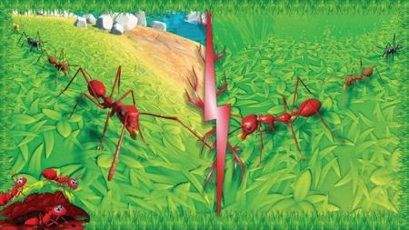 火蚁昆虫模拟Ant Insect World Sim截图1