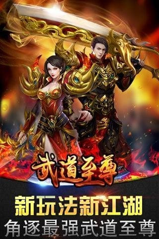 武道至尊截图1