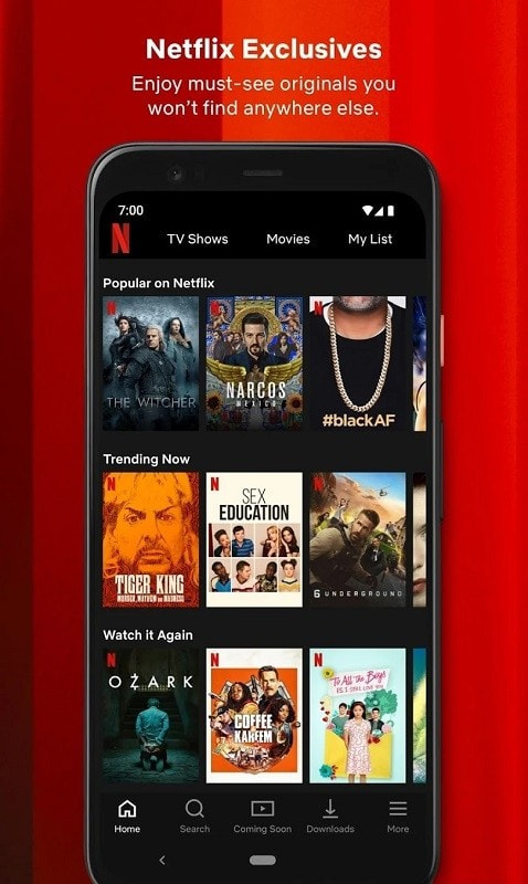 网飞netflix2