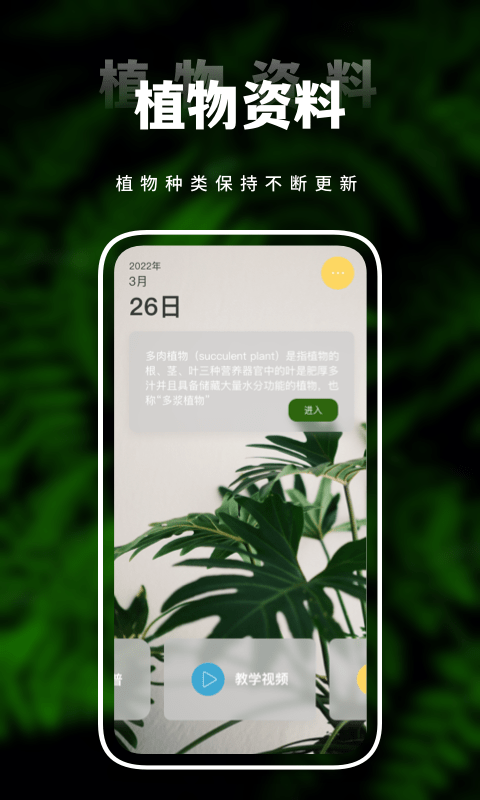 害羞草生活视频截图1