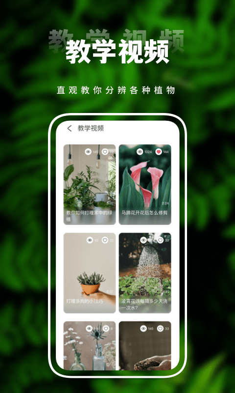 害羞草生活视频截图2