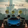 公园司机(Park Driver)